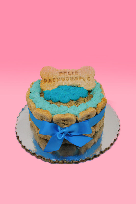 Pasteles PaChu Cumpleaños